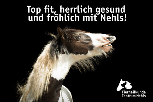 Dürfen Pferde Erdnüsse fressen?