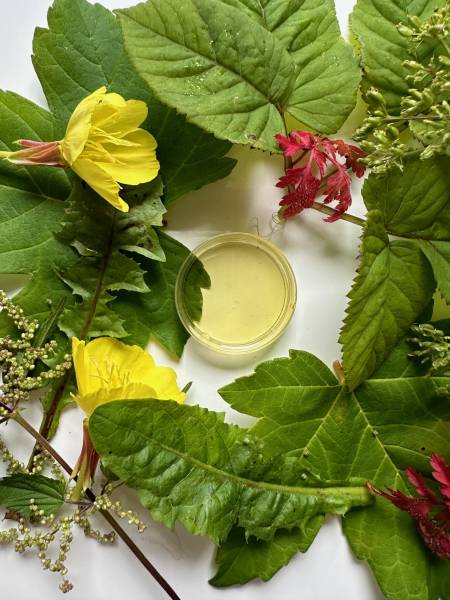 Erfahrungsbericht: Bioresonanz-Haaranalyse bei Tinker Shadow