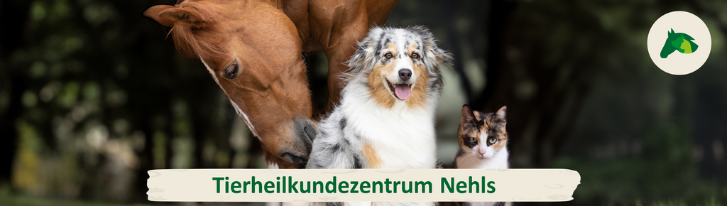 Wasseraufnahme
