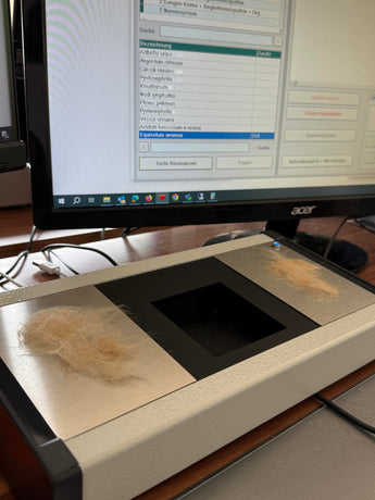 Unsere Bioresonanztestung