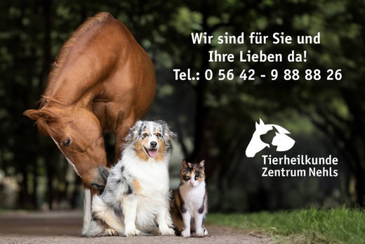 Unsere Geschichte & die Nehls Philosophie