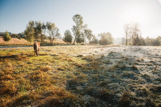 Start in die Rehezeit im Winter – die unterschätzte Gefahr 
