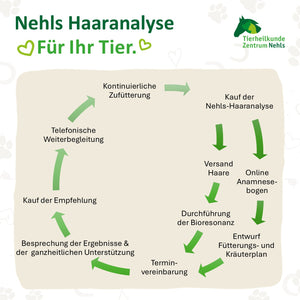 Nehls-Haaranalyse für Tiere
